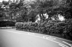 taiwan2012.46