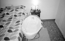 IMG944